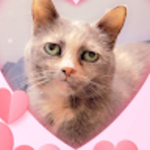 Meet your Posher, General patton